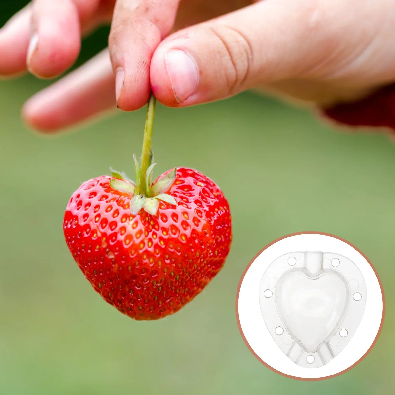 Hjärta form grönsaksform – Kreativ formskål för grönsaker och frukt