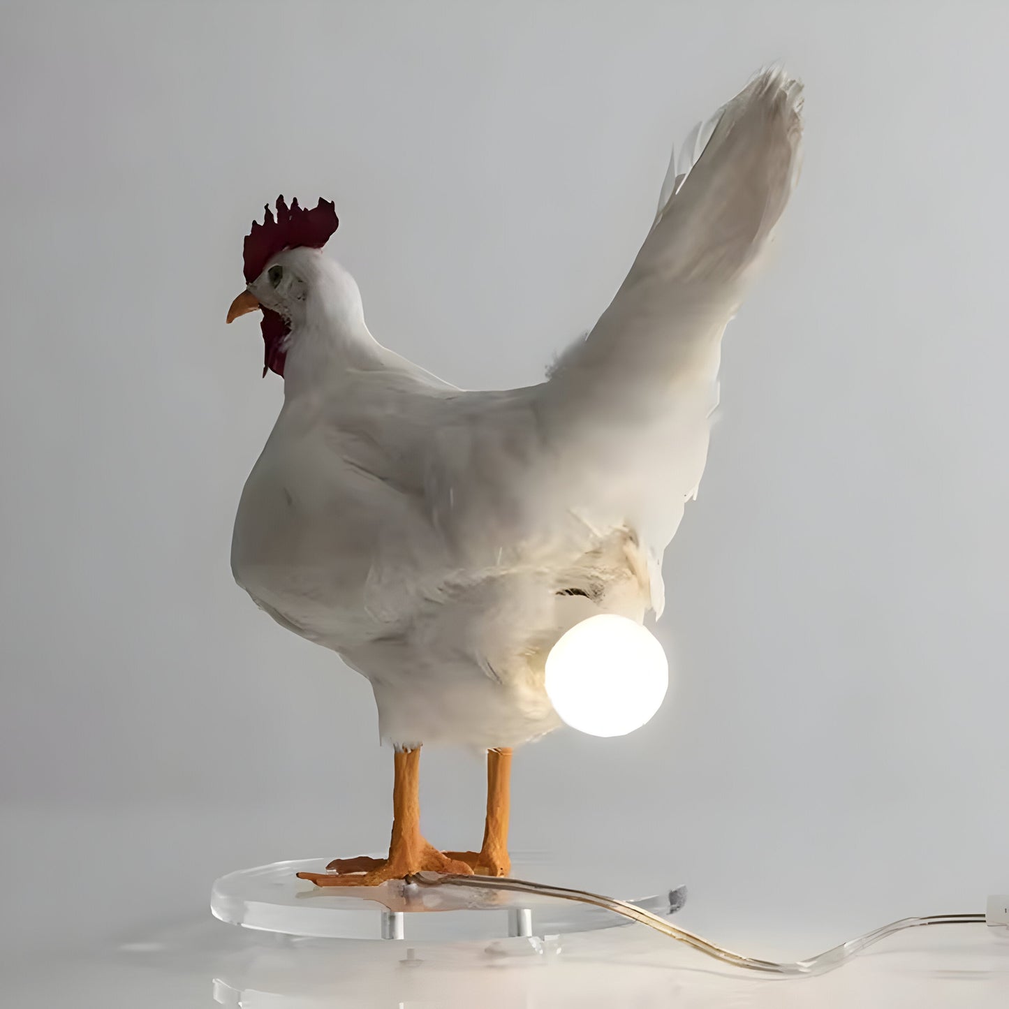 ChickGlow Ljus – Höns LED Bord-Nattlampa