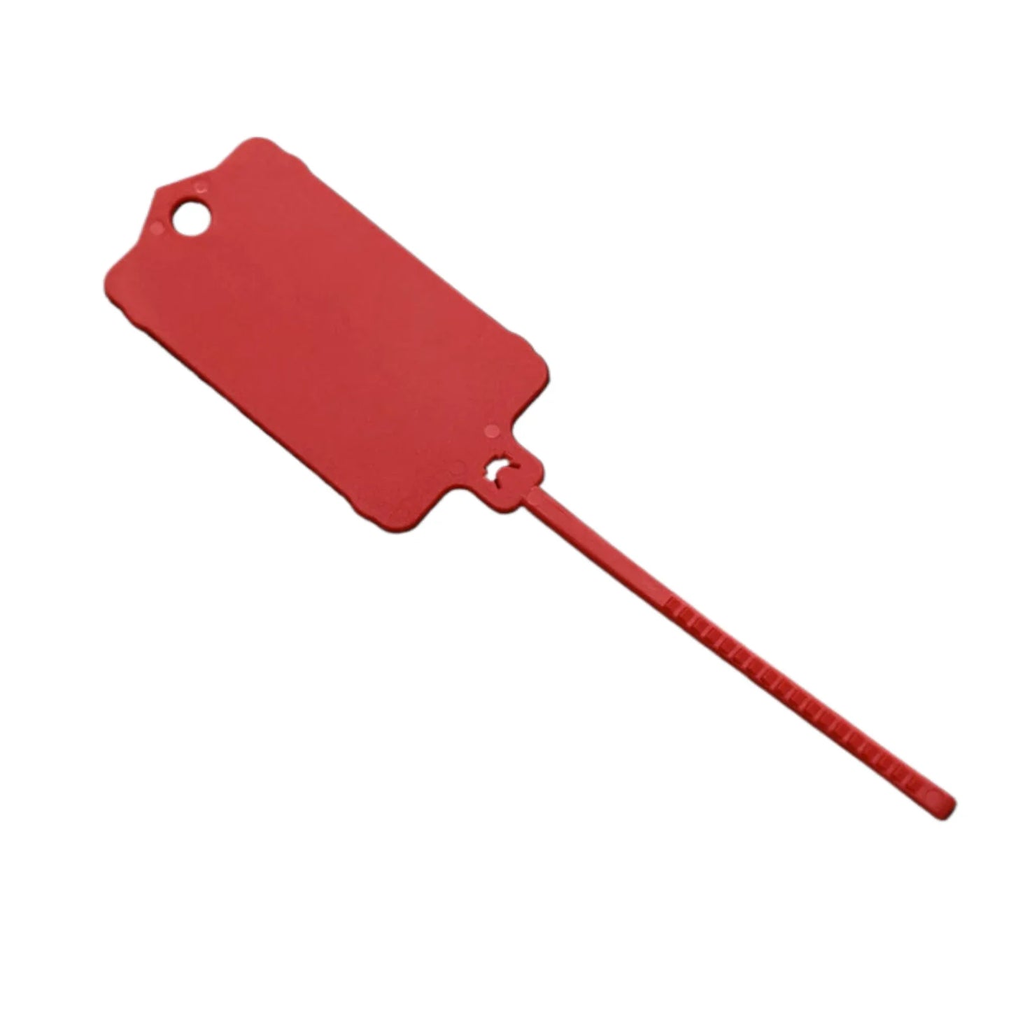 Carvallo FlexiTag 100 | 100 stycken | Återanvändbara plastetiketter med förslutningsband | För nycklar, bagage, lager och kontor