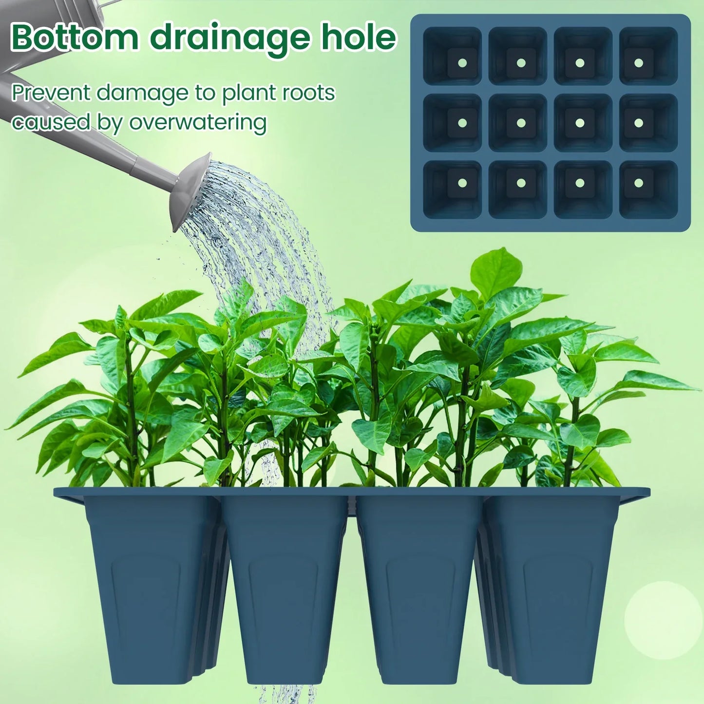 Carvallo Silikon | BPA-free & Reusable | 12 Cells with Drainage | 2-Pack in Black or Dark Green