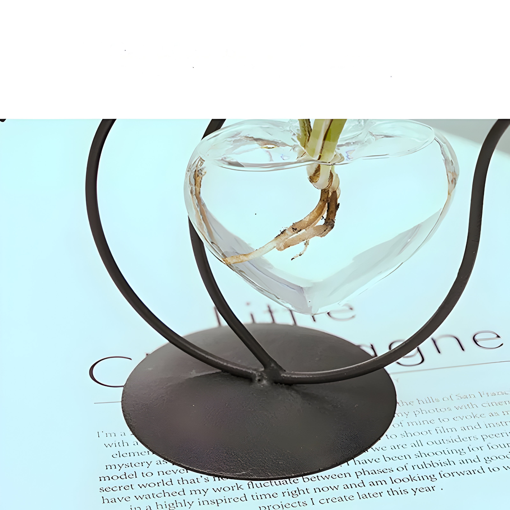 AquaPurr Vas - Hydroponisk Glas-Hjärta-Vas med Kattformad Hållare