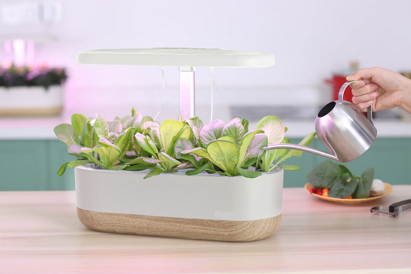 Intelligent hydroponics set för inomhus – Jordfri växtodling för hemmet