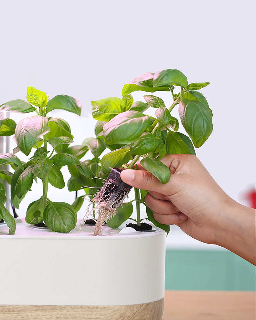 Intelligent hydroponics set för inomhus – Jordfri växtodling för hemmet