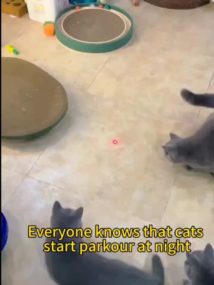 Katt Laser Leksak Uppladdningsbar Interaktiv Husdjur Teaser
