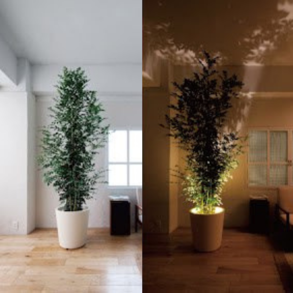 Arvesso | Spotlight med klibbad sticky pad för säker hållning