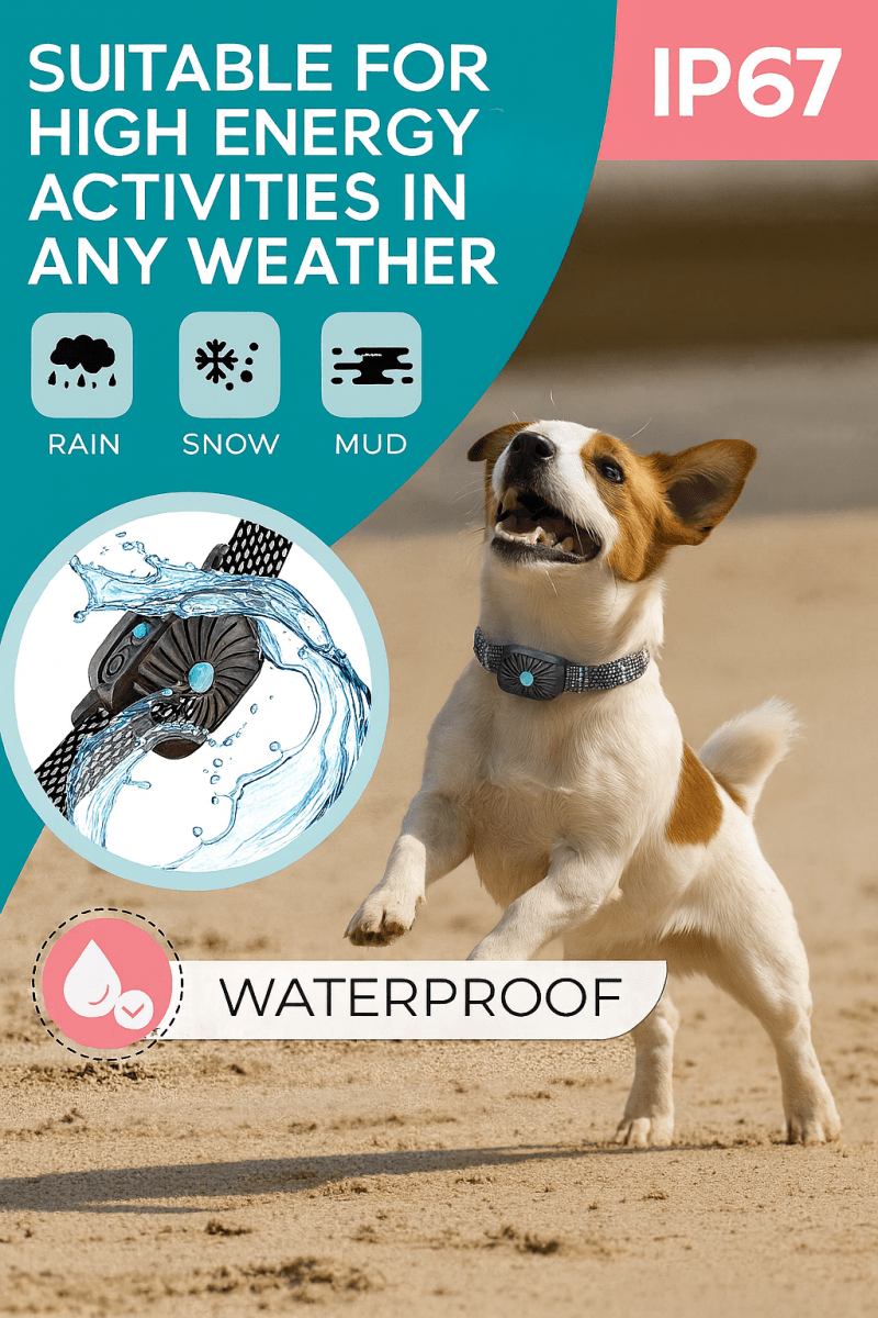 BarkLess Nano – Mjuk anti-barkhalsband för valpar och små hundar