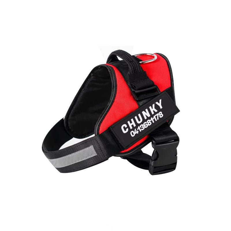 Dogsafe Sele - Reflekterande, dragfritt hundsel med anpassningsbart namnskylt