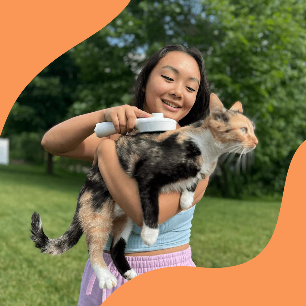 Carvallo – Den smarta borsten mot fästingar & smuts!