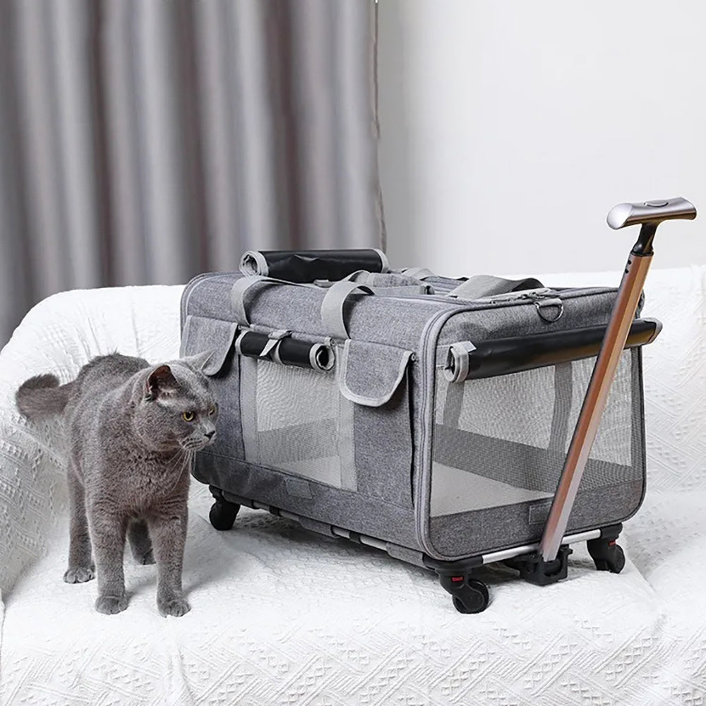 Kattbärare med hjul Stor Fällbar Väska