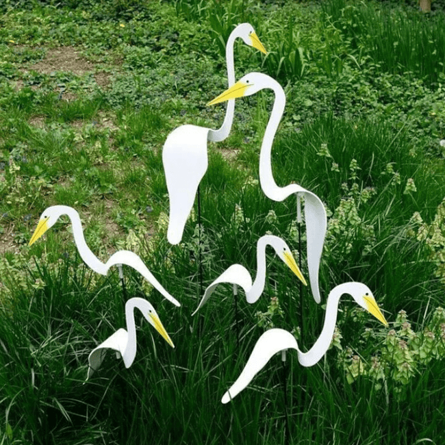 Carvallo - Graciös Roternade Fågel För En Fin Trädgård