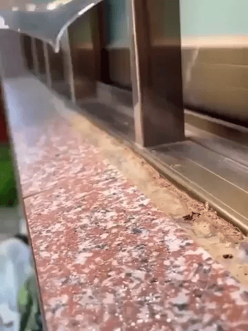 Royaleva 300g Transparent Vattentät Lim Läcksäker Beläggning