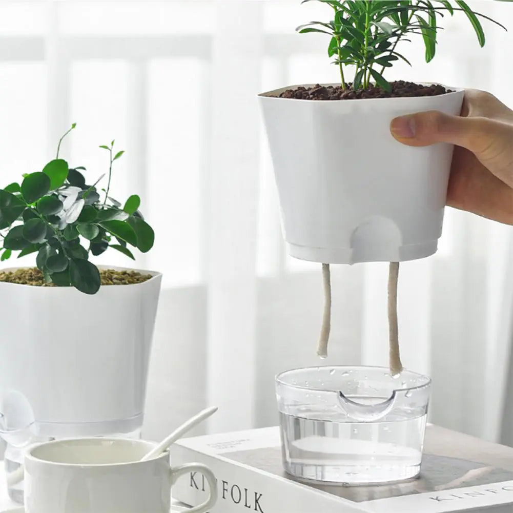 AquaPlanter - Smart Blomkruka och Miniakvarium i Ett