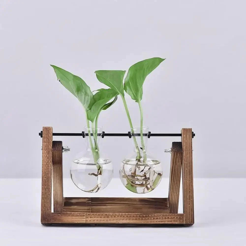 Hydroponisk Glas Terrarium Bordskivan med Träram