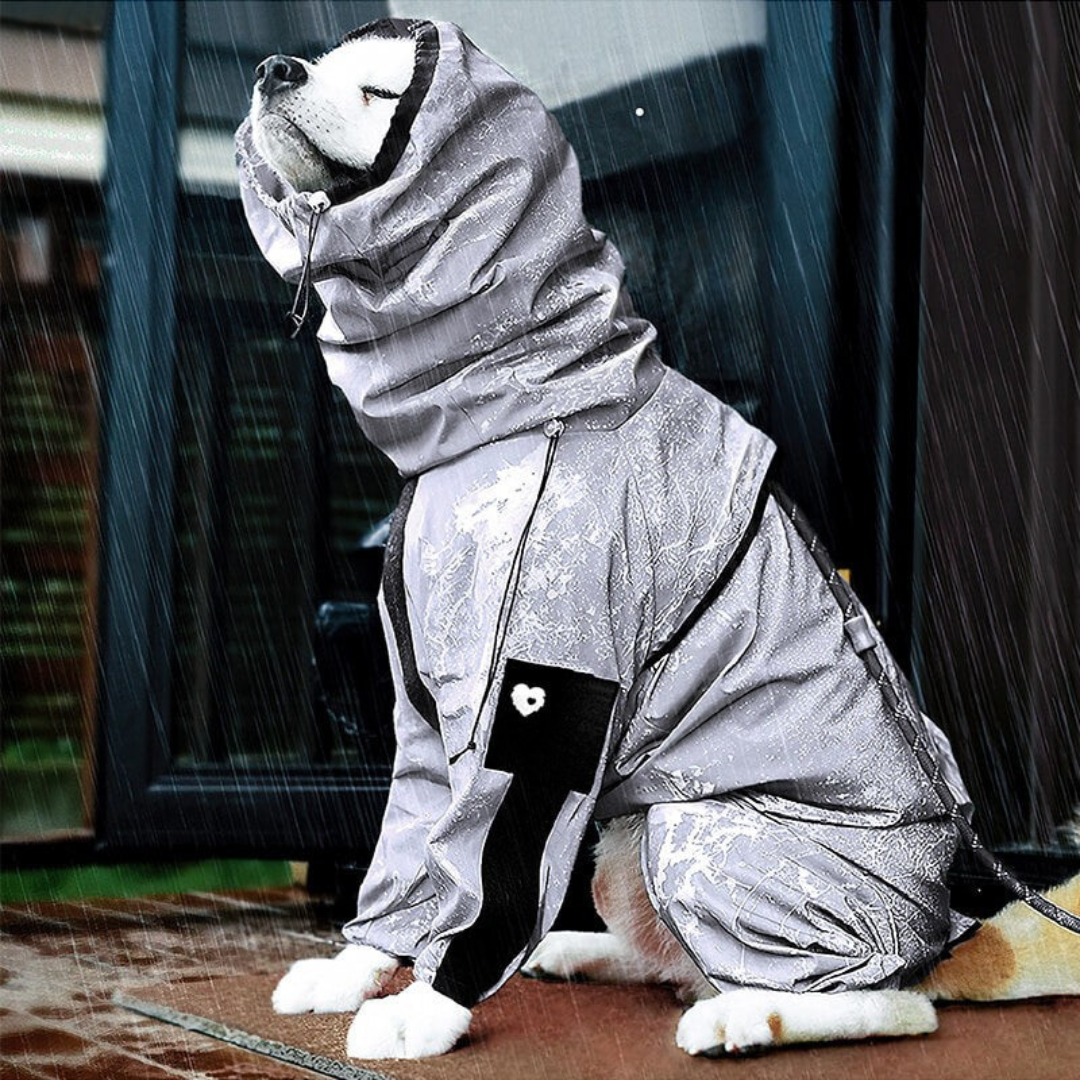 Hund Regnrock Vattentät Reflekterande Allvädersdräkt