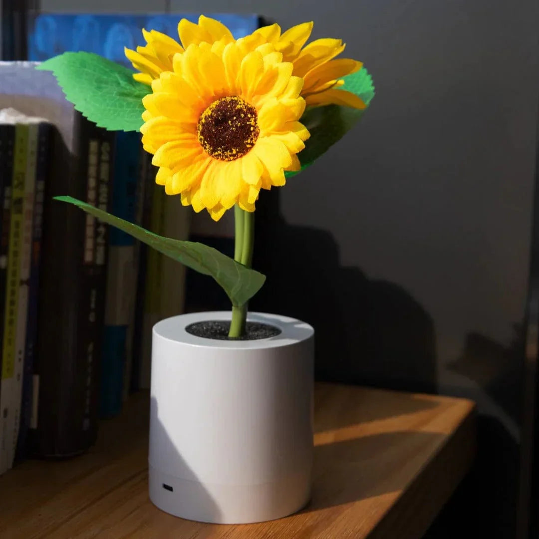 Solros Nattlampa med Strålande Ljus