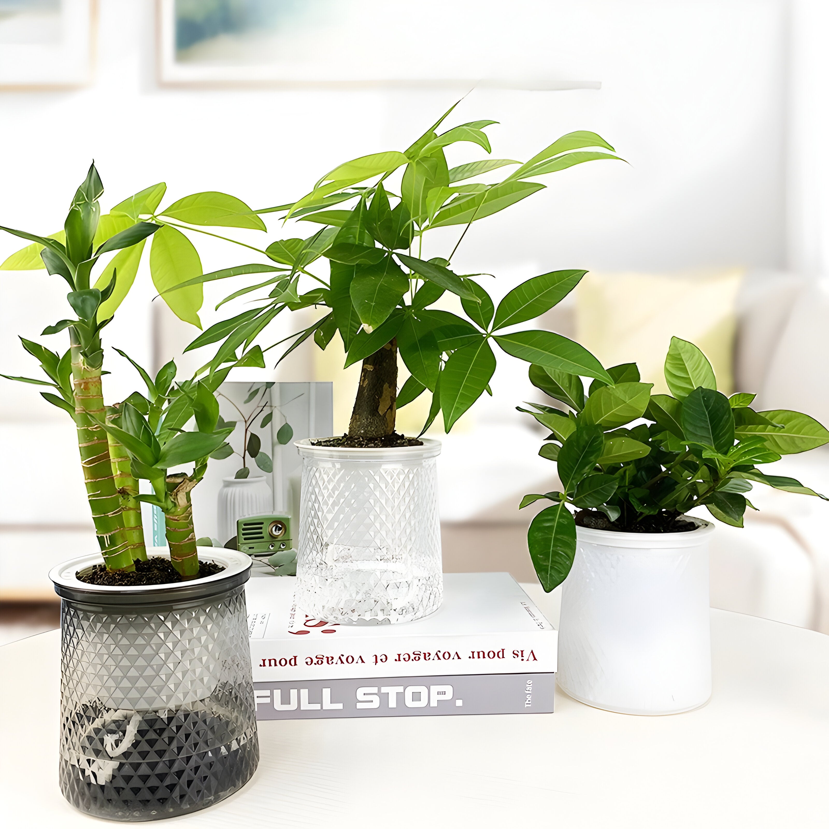 HyggeSprout Kruka – Hydroponisk Kristall-Glas-Blomkruka