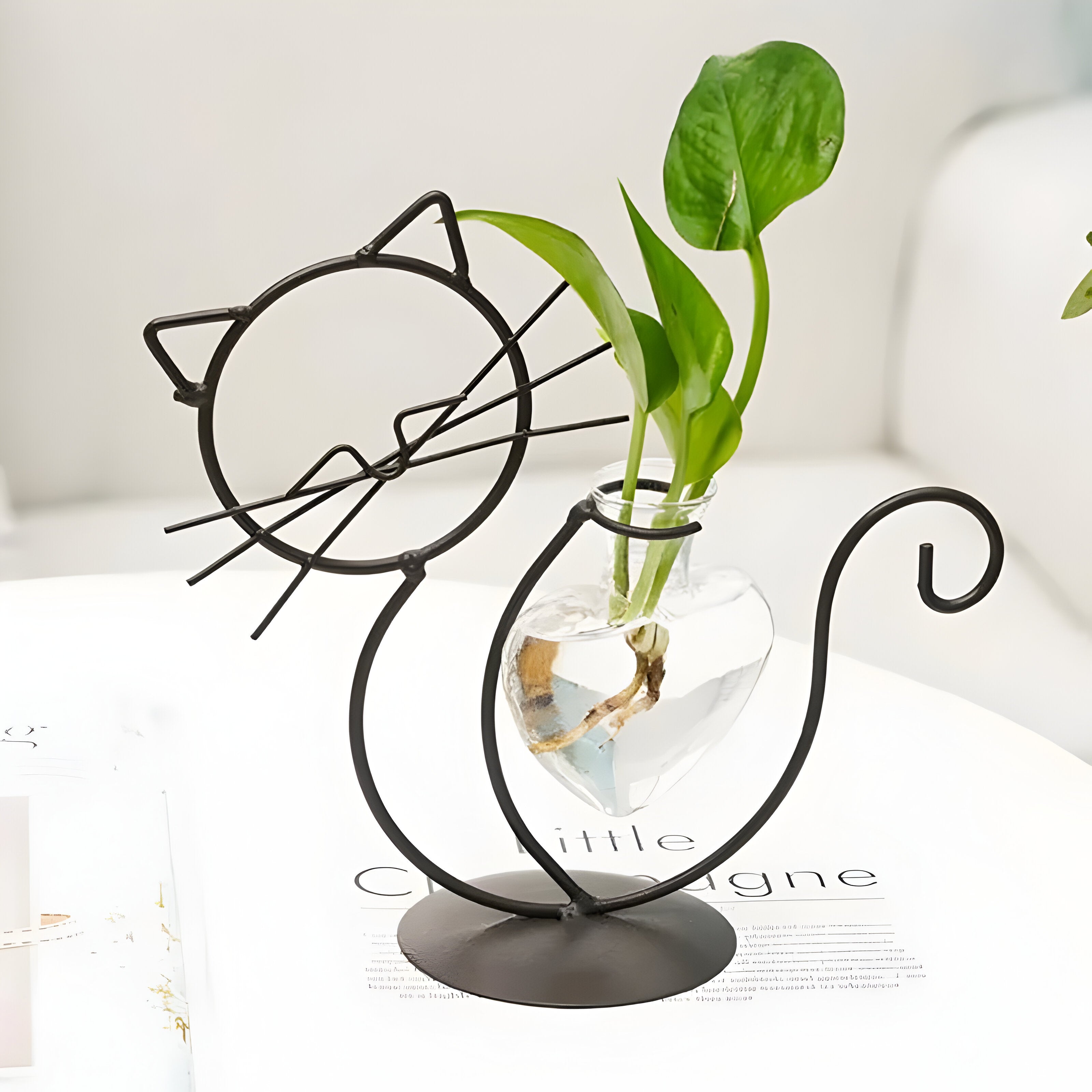 AquaPurr Vas - Hydroponisk Glas-Hjärta-Vas med Kattformad Hållare