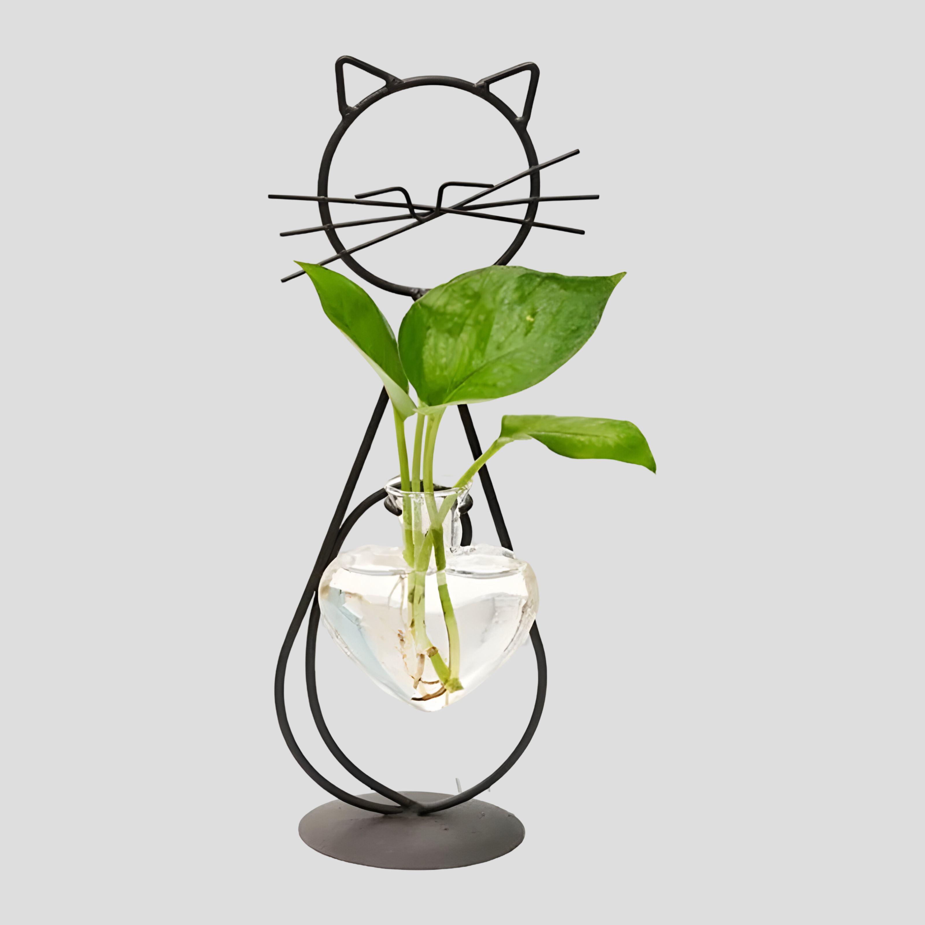 AquaPurr Vas - Hydroponisk Glas-Hjärta-Vas med Kattformad Hållare