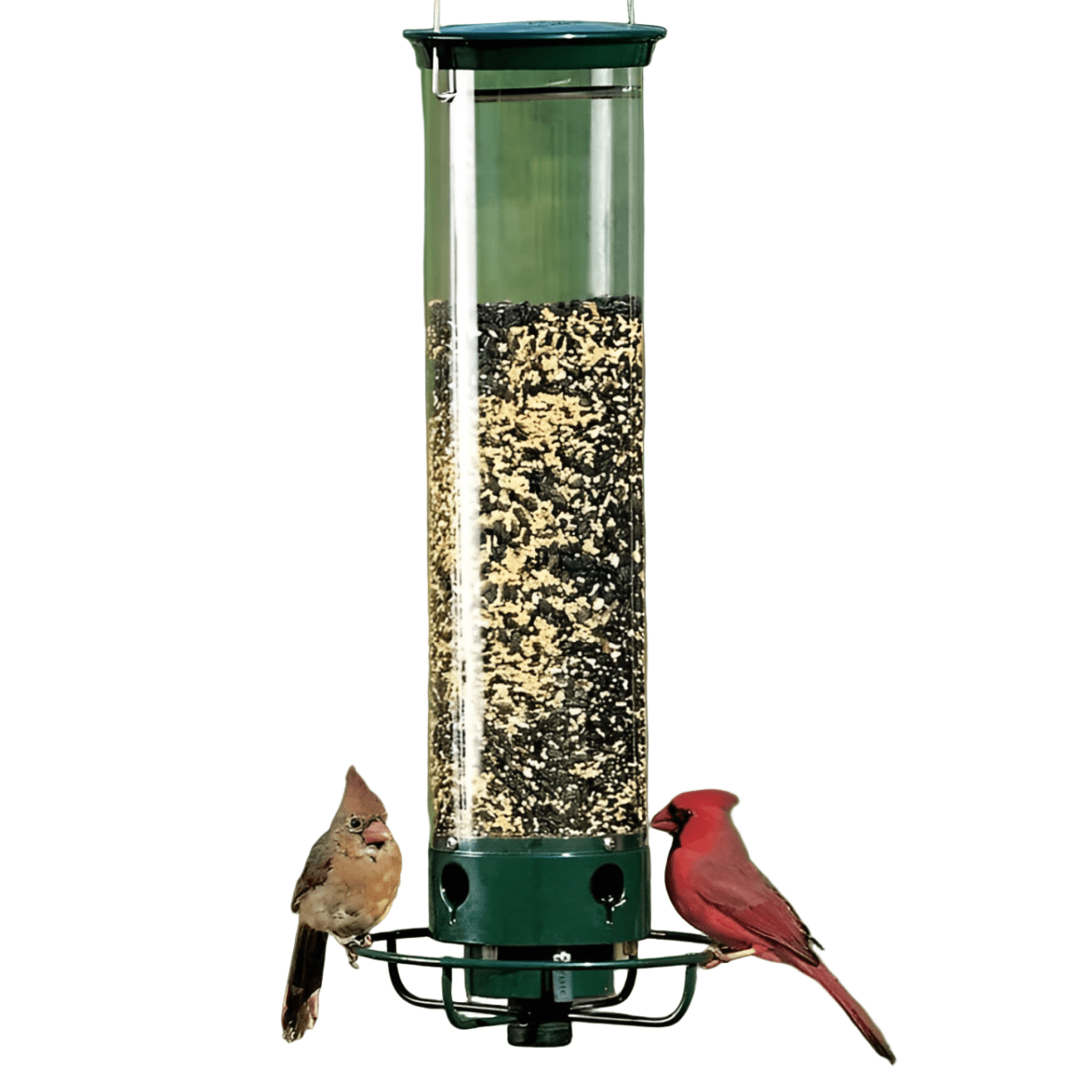 NUTRIGUARD – Ekorrsäker fågelmatare med viktkontroll