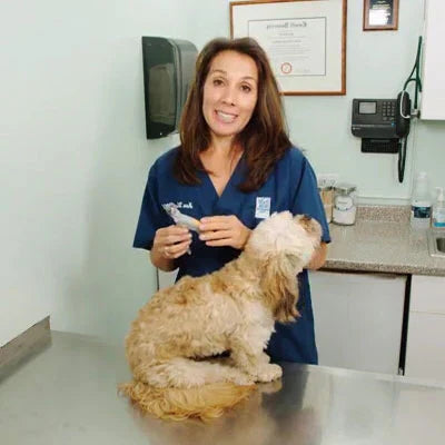 Royaleva Bästa Hundklotång Med Snabbsensorer Säker Trimming