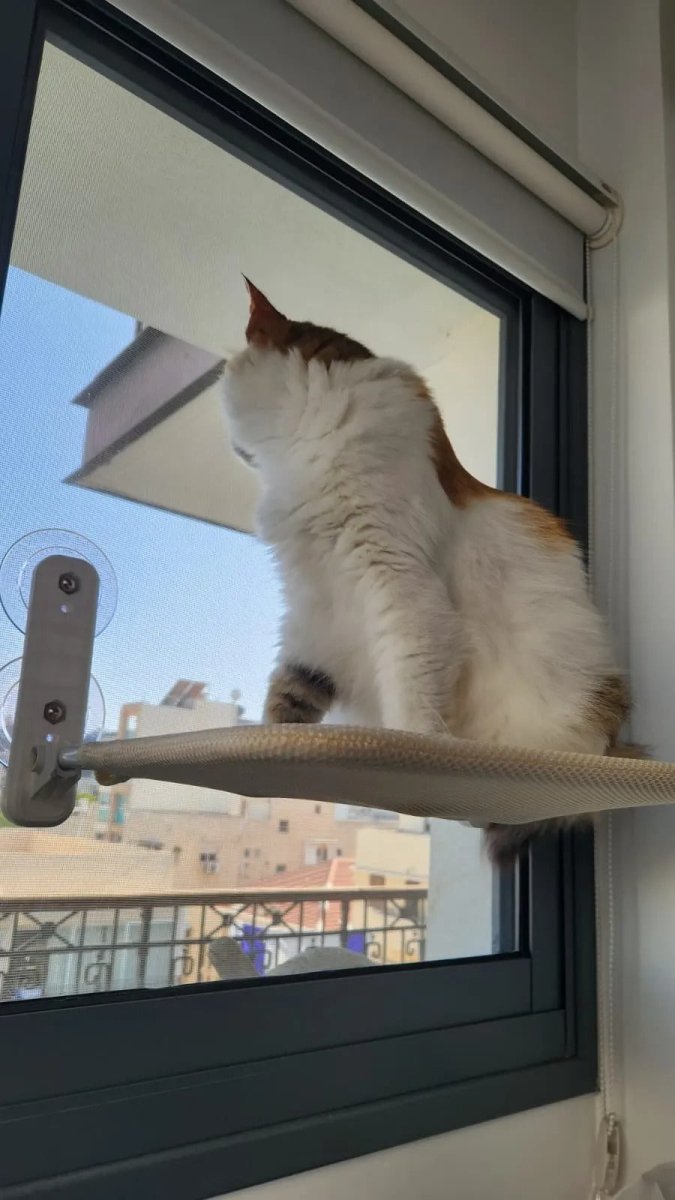 Pawperch – Fällbar katthängmatta med väggvänlig hållare | Borrlös fönsterplats för katter