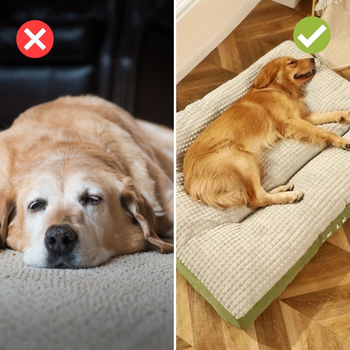 PawRest – Ortopedisk hundsäng med optimal stöd och komfort