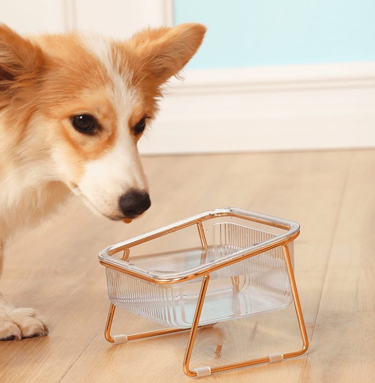 Petchic Skål – Höjd mat skål för katter & små hundar