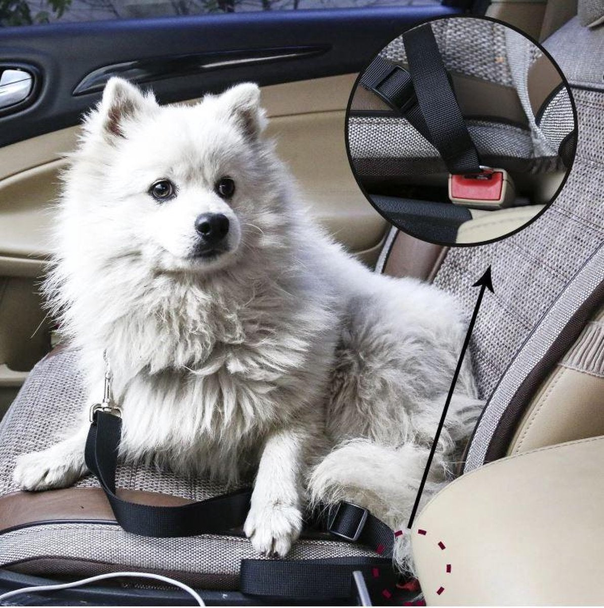 Petecure – Justerbart hundsäkerhetsbälte för säker bilkörning