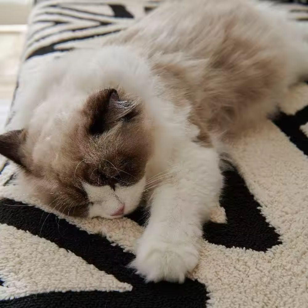 SofaTect – Mjuk, hållbar mikrofibersoffadeckning, halkfri och lätt att rengöra