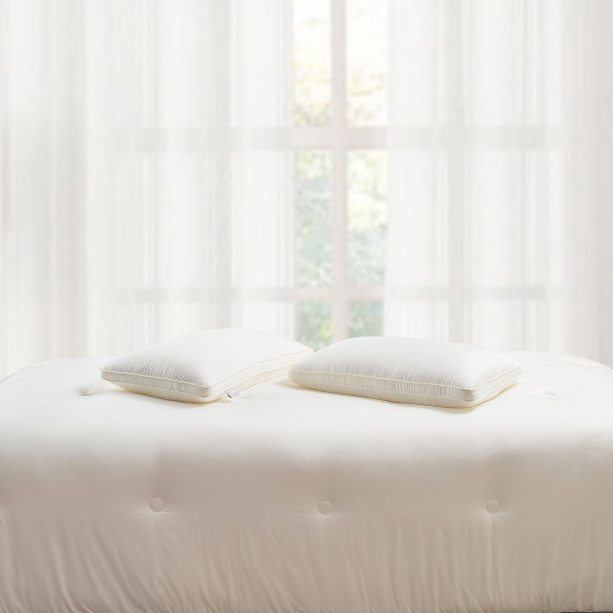 SOMNIAFIBER – Kuddar med mjölkproteinfibrer för en hälsosam och bekväm sömn