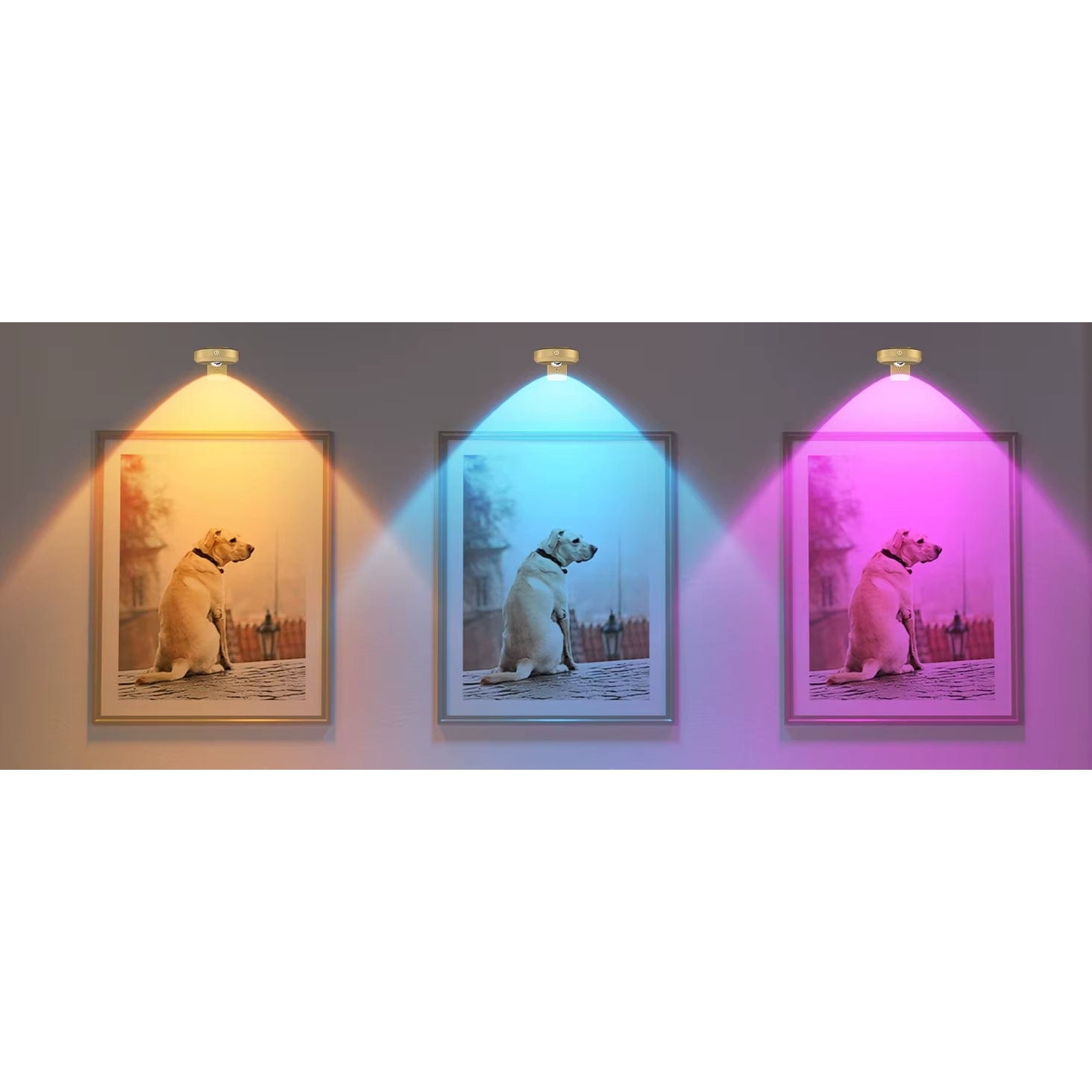 Återuppladdningsbara LED puckljus med magnetfäste – RGB-färgtemperatur - Justerbar ljusstyrka - Inomhus konstbelysning - Fjärrkontroll