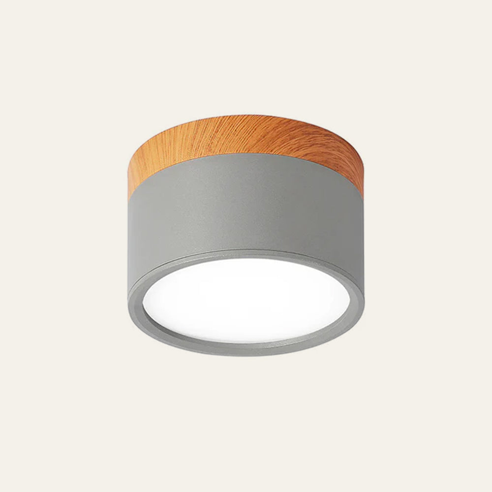 Cylinder Flush Taklampa | H2.36–2.75 in | Kompakt Modern LED Armatur | Sleek Aluminium | Brick by Brick