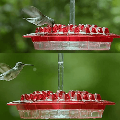 Kolibri Matare Röd Plast Hängande Fågelmatare
