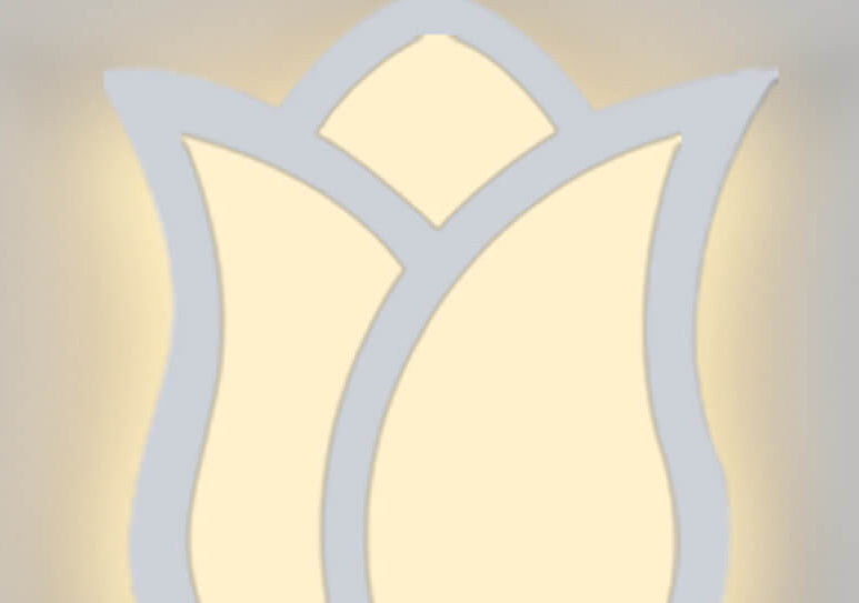 Modern, minimalistisk, kreativ LED-vägglampa i rosdesign