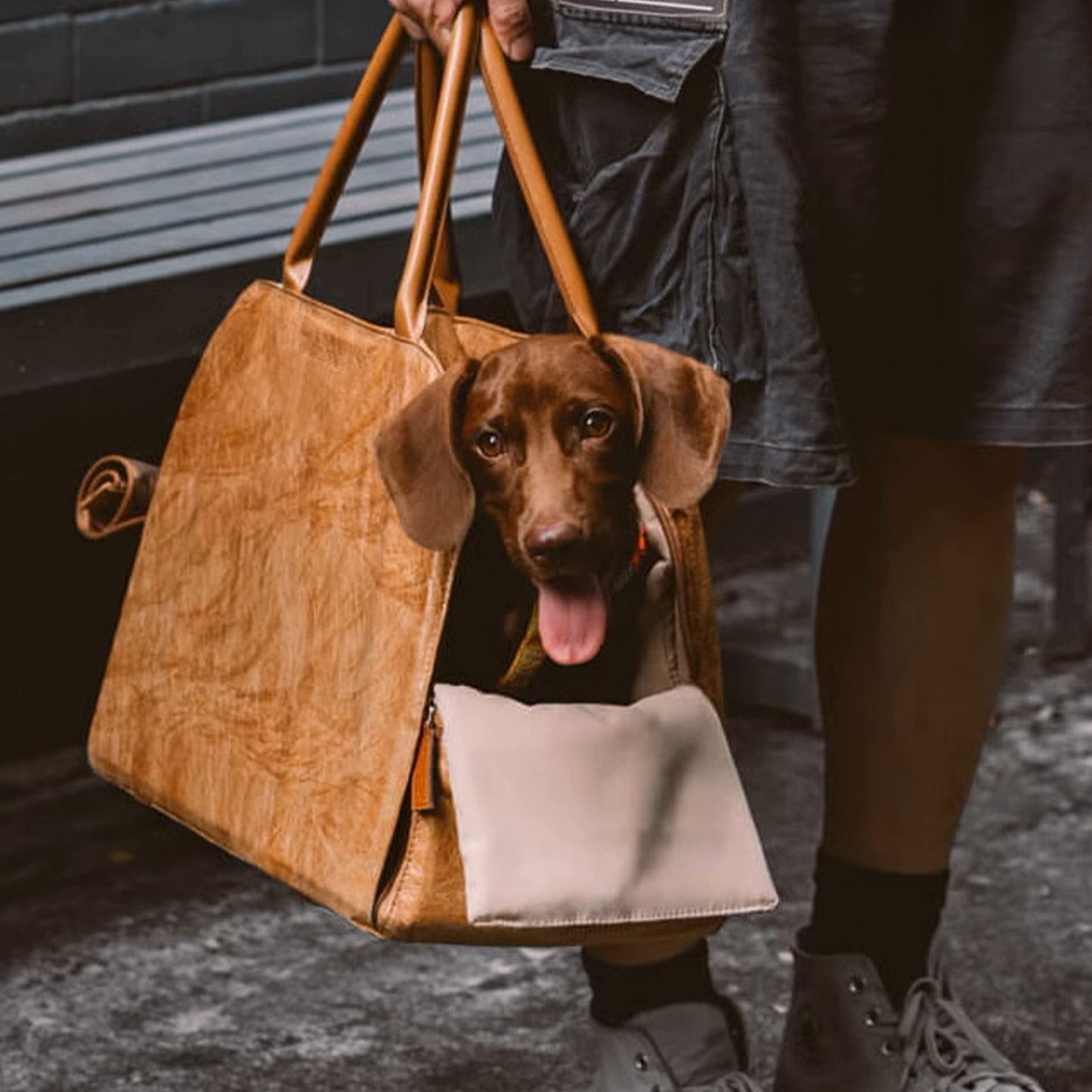 Bärbar Husdjurs Resväska – Lätt, Andningsbar & Säker för Små Husdjur