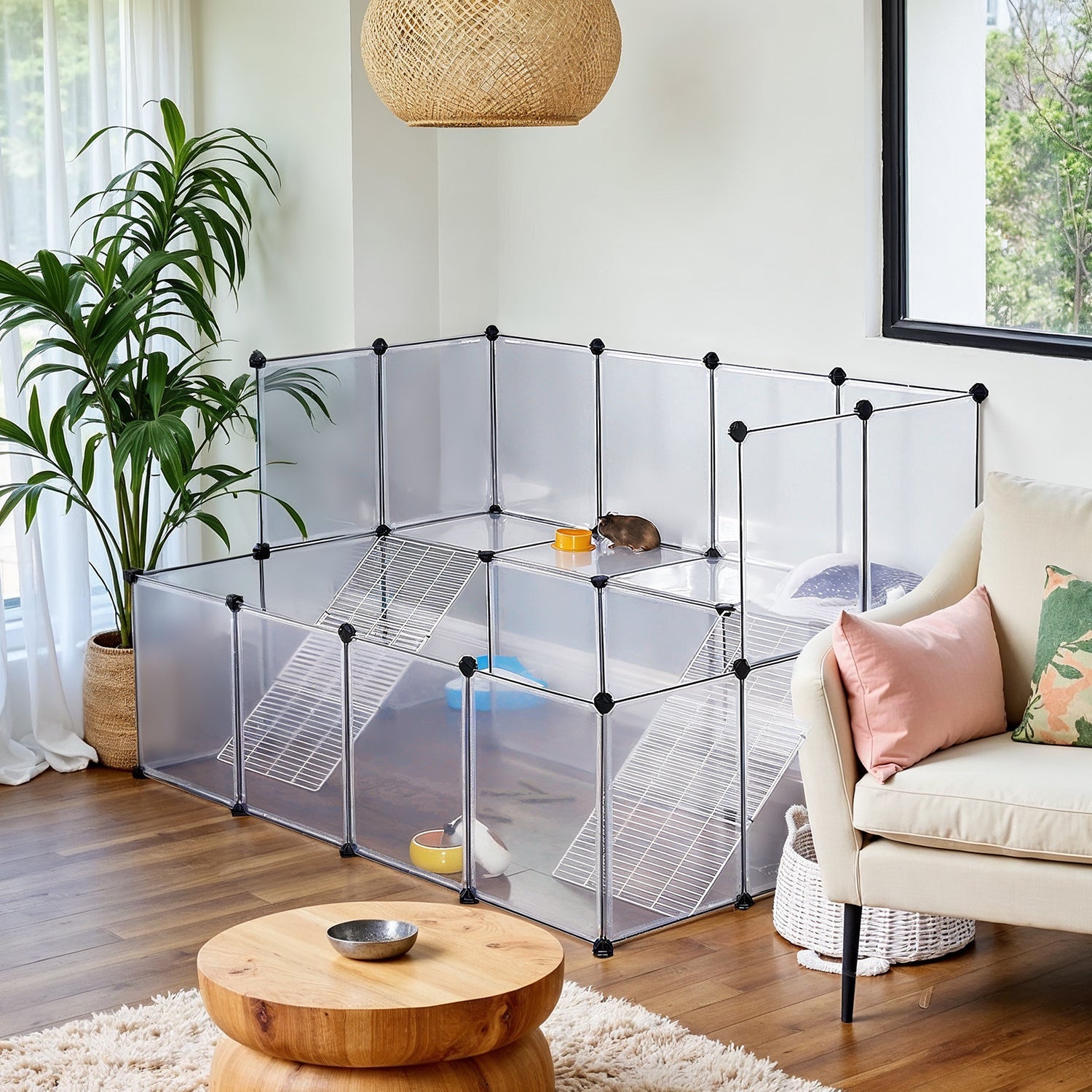 Guinea Pig Run - Litet Djur Inhägnad