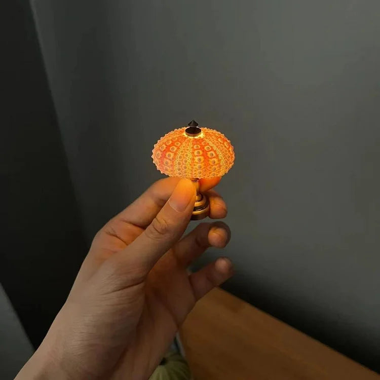 DIY Zee-egel bordslampa