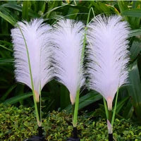 ÉcoLumi - Solenergilampa i Rör