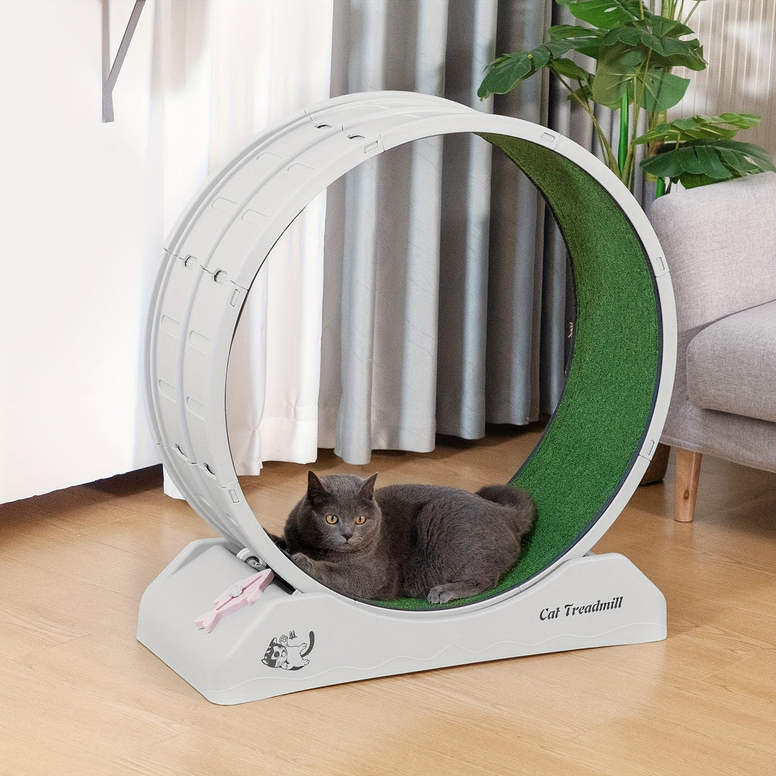 Kattträning Wheel Inomhus Löpande Wheel för Katter Fitness Kul