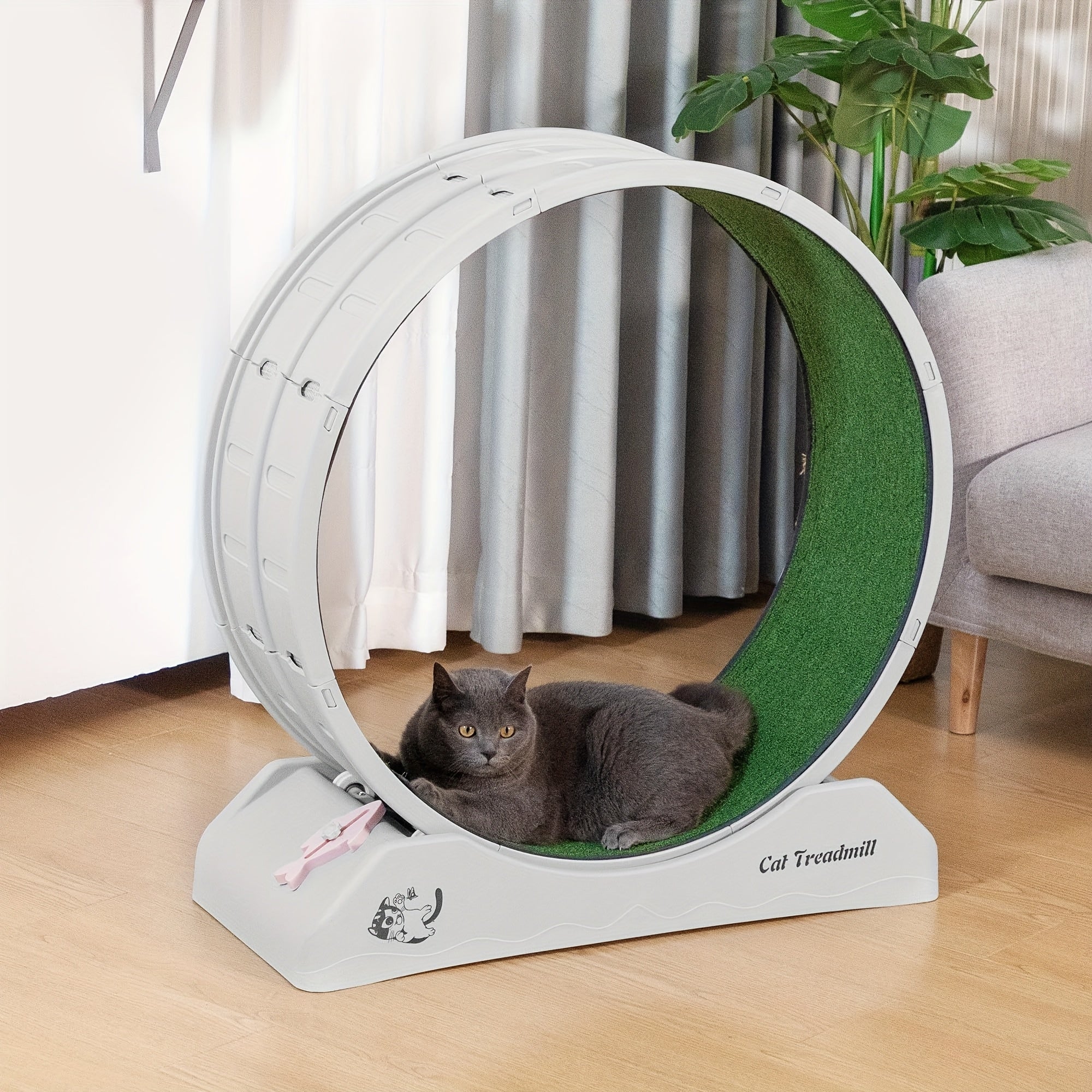 Kattträning Wheel Inomhus Löpande Wheel för Katter Fitness Kul