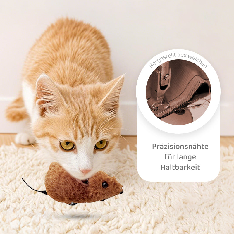 Carvallo | PawChase – Jaga, spela, jaga kul för din katt!