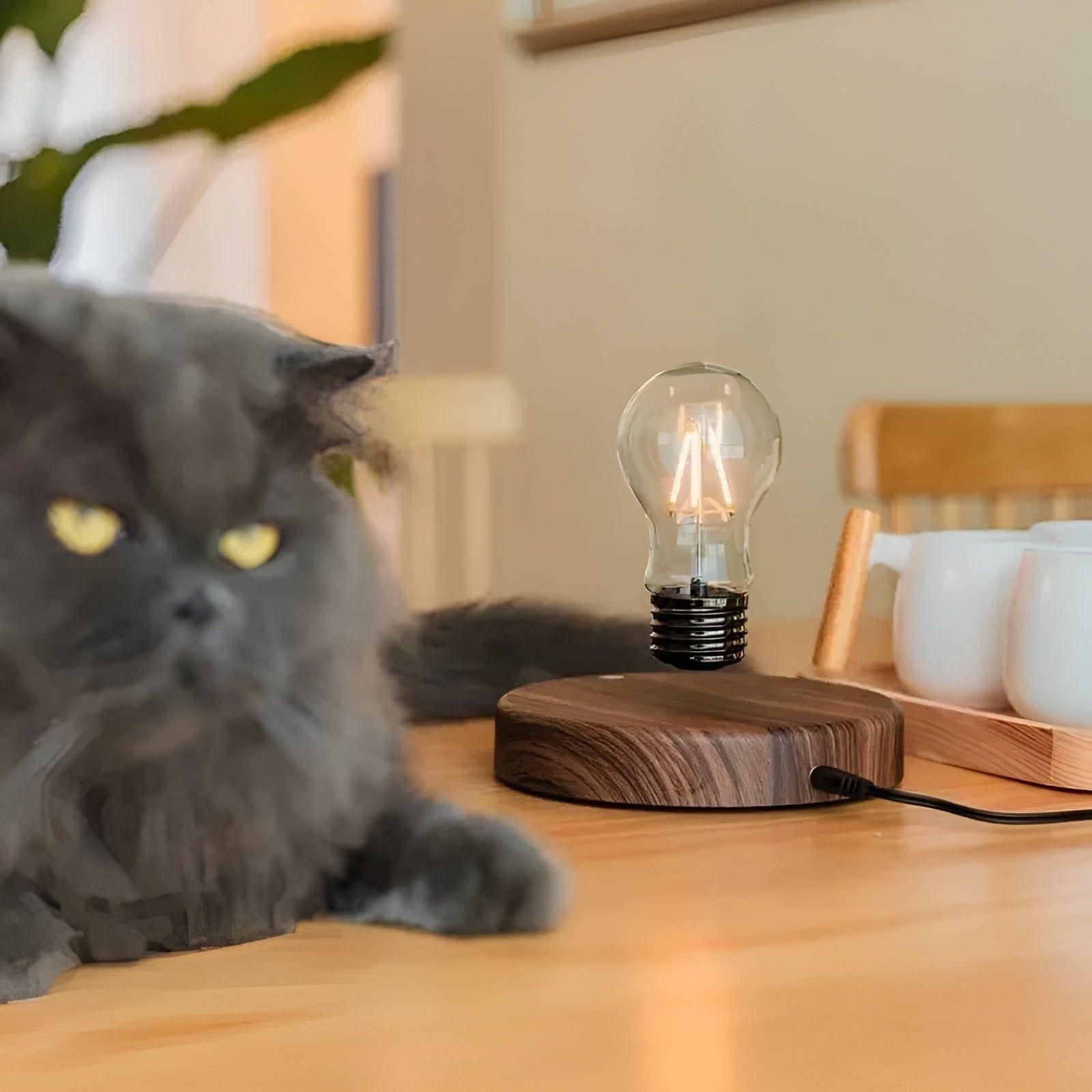 Magisk glödlampa - Elegant magnetisk levitation svävande glödlampa