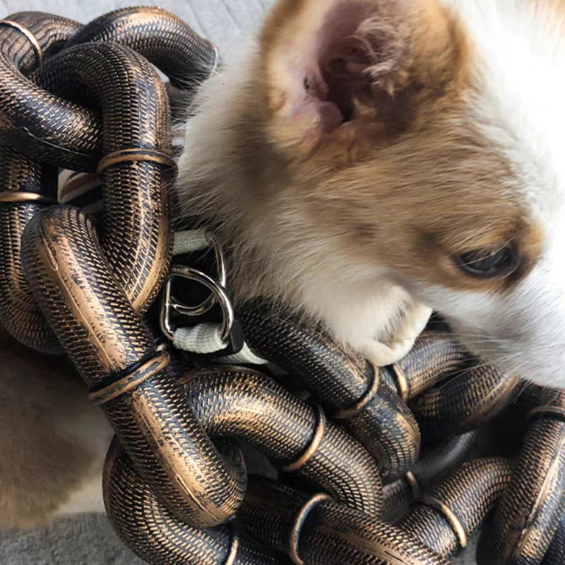 Carvallo - Roligt stort hundhalsband