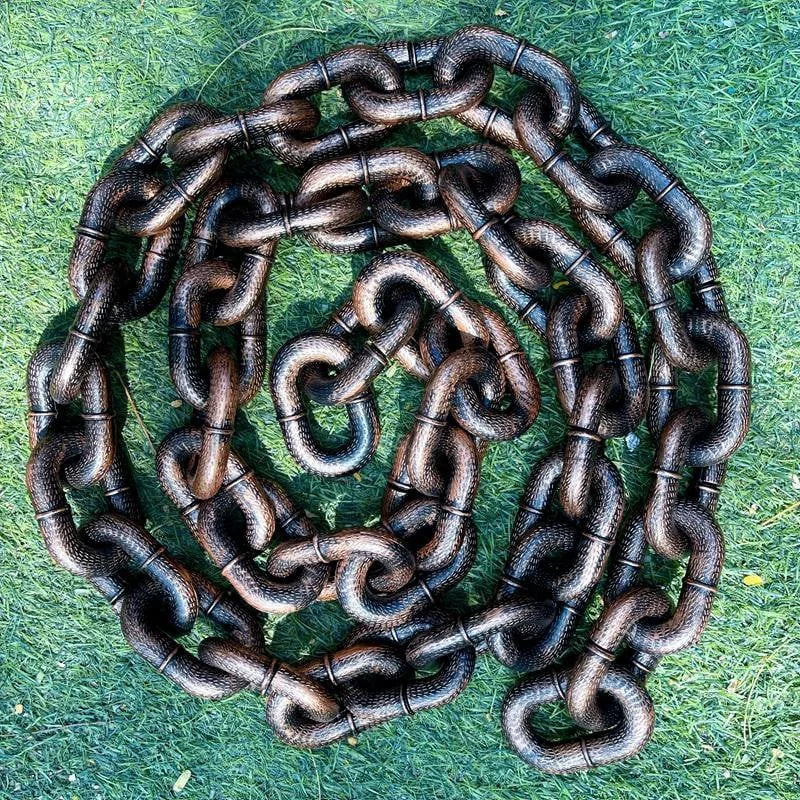 Carvallo - Roligt stort hundhalsband