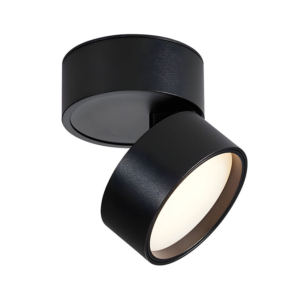 LED Taklampa med Justerbar Spotlighthuvud