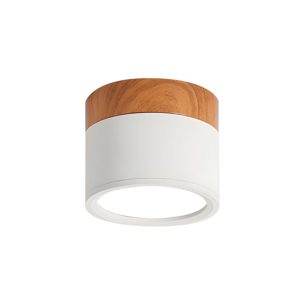LED Taklampa Modern Flush Mount Cylinder