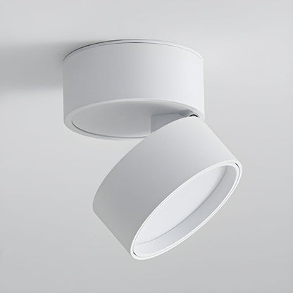 LED Taklampa med Justerbar Spotlighthuvud