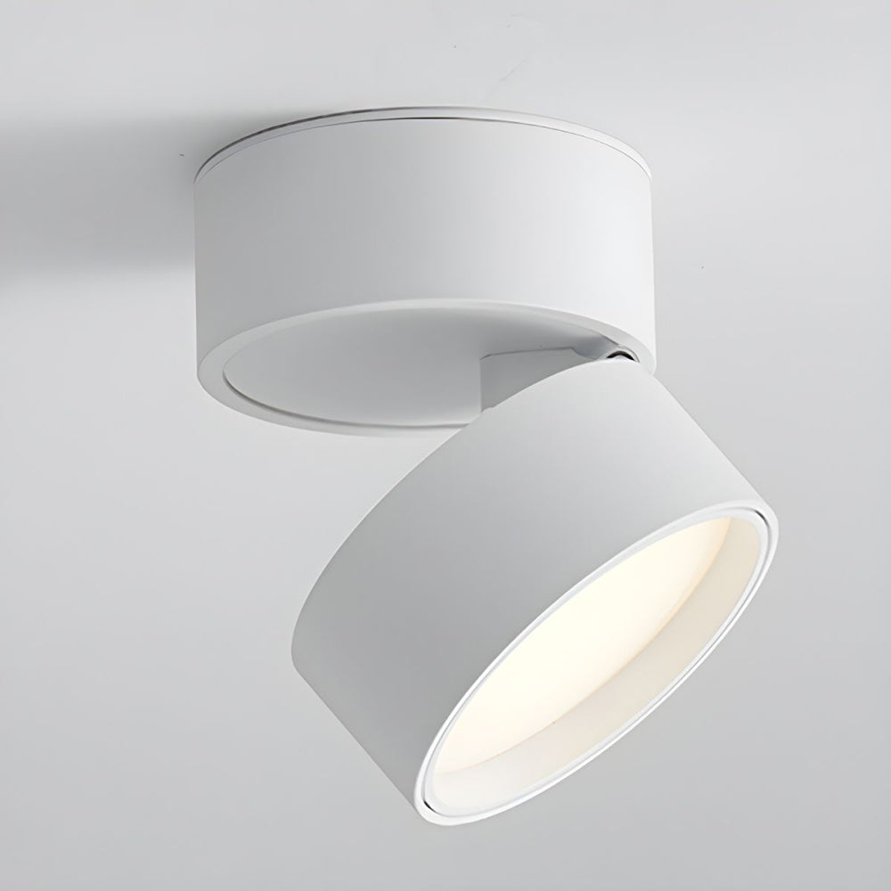 LED Taklampa med Justerbar Spotlighthuvud