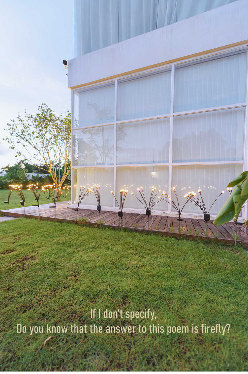 Carvallo - Fängslande Ljusdans