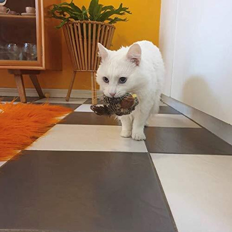 Carvallo - Den säkra leksaken för din katt!